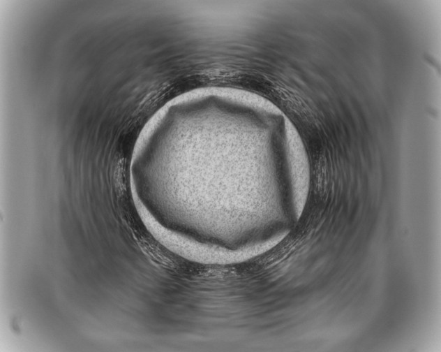 X0000096421346200802141624