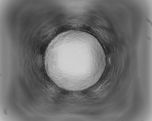 X0000096421347200802141624