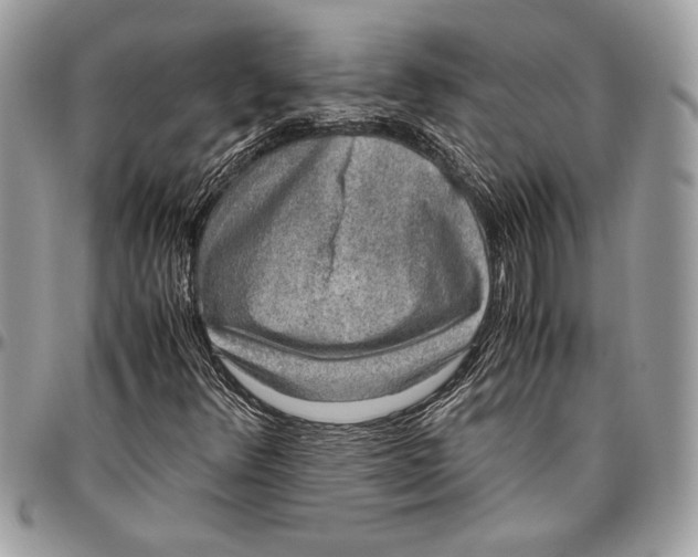 X0000096421348200802141624