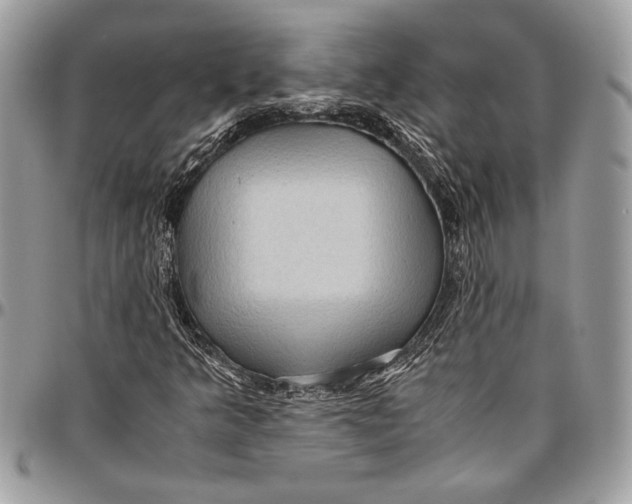 X0000096421349200802141624