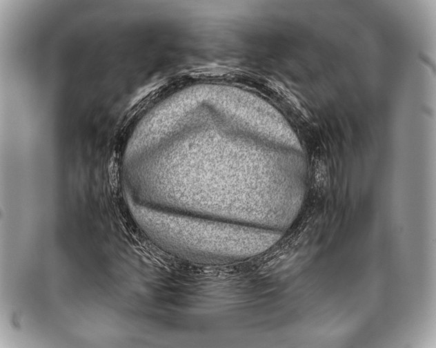 X0000096421350200802141624