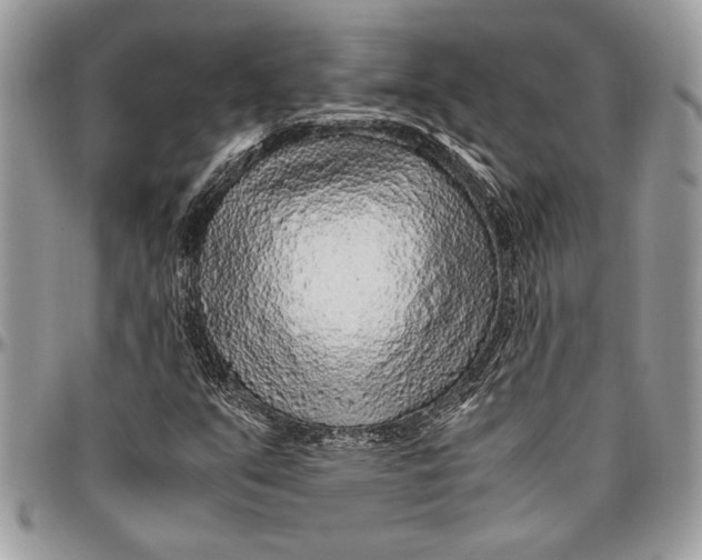 X0000096421351200802141624