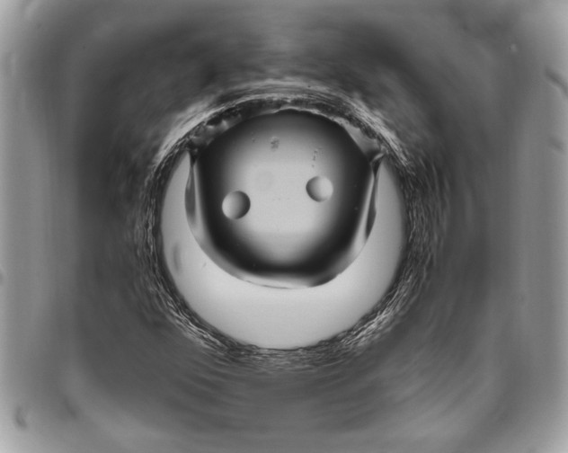 X0000096421352200802141624