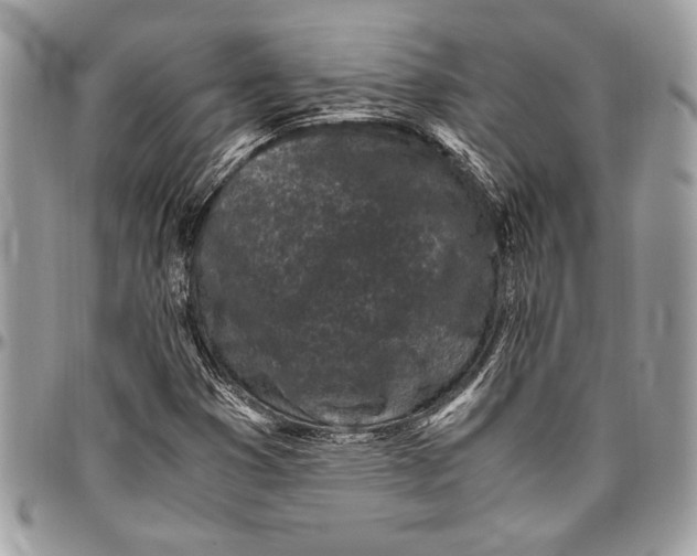 X0000096421353200802141624