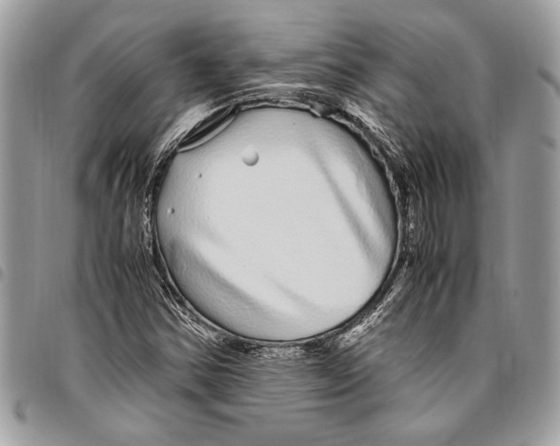 X0000096421354200802141624