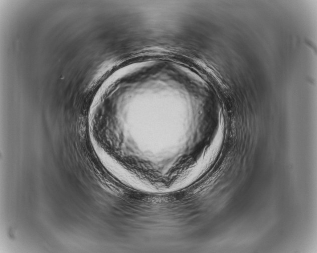 X0000096421355200802141624