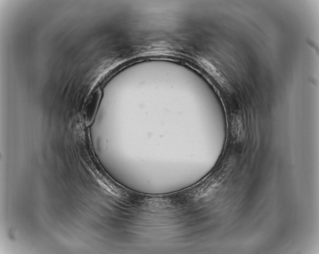 X0000096421356200802141624