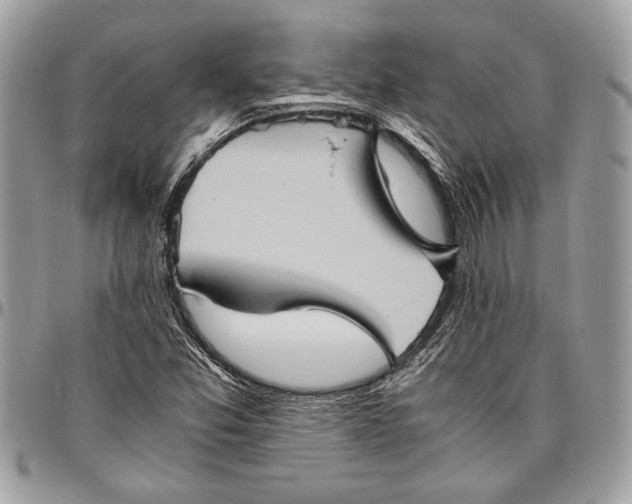 X0000096421357200802141624