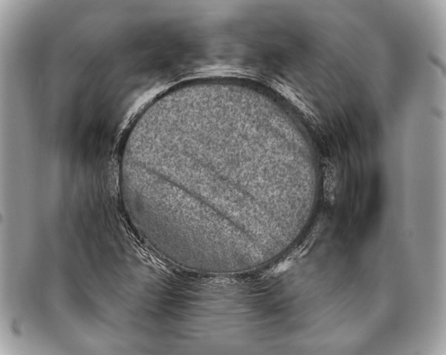 X0000096421358200802141624