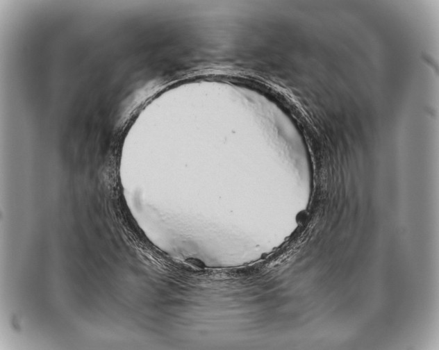 X0000096421359200802141624