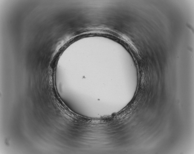 X0000096421360200802141624