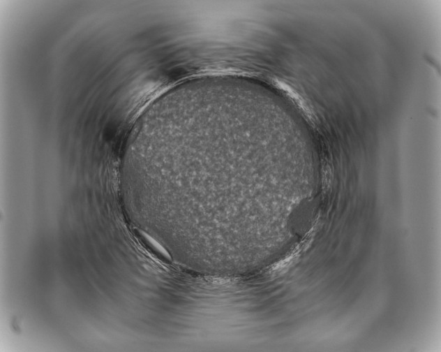 X0000096421361200802141623