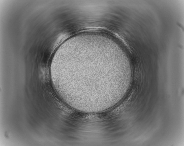 X0000096421362200802141623