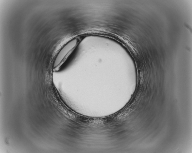 X0000096421363200802141623