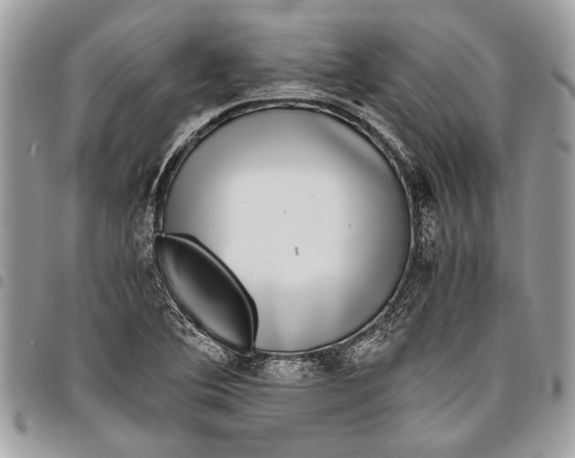 X0000096421364200802141623