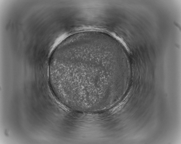 X0000096421365200802141623