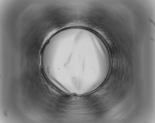 X0000096421366200802141623