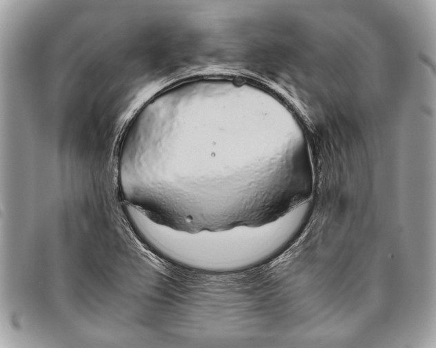 X0000096421367200802141623