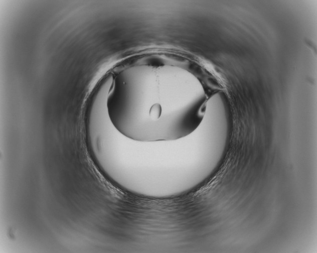 X0000096421368200802141623