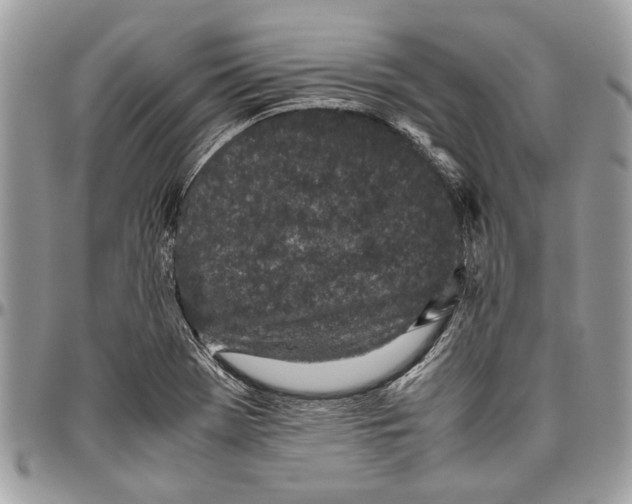 X0000096421369200802141623