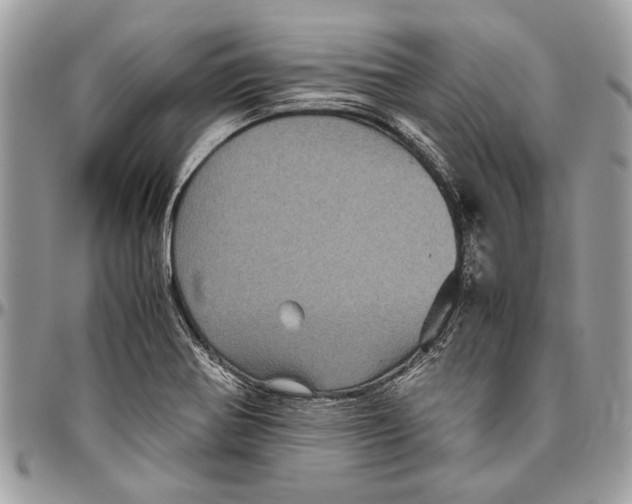 X0000096421370200802141623