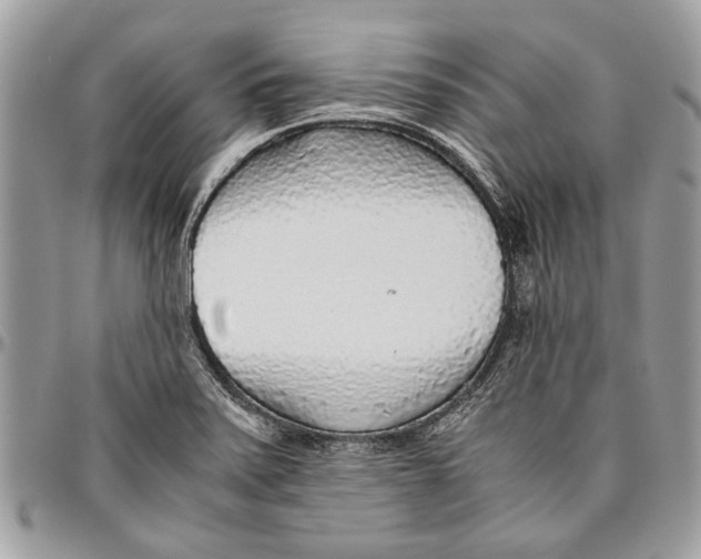 X0000096421371200802141623