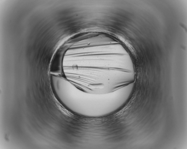 X0000096421372200802141623