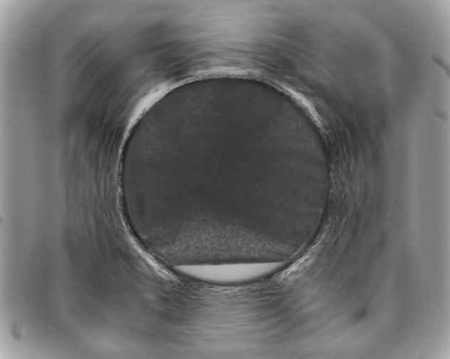 X0000096421373200802141623