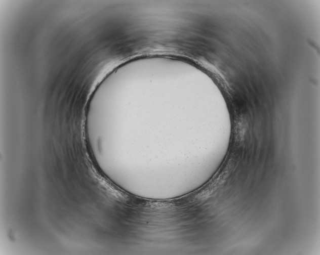 X0000096421374200802141623