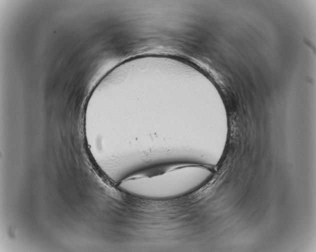 X0000096421375200802141623