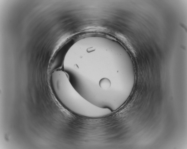 X0000096421376200802141623