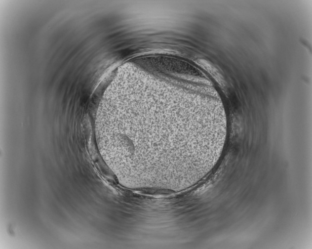 X0000096421377200802141623