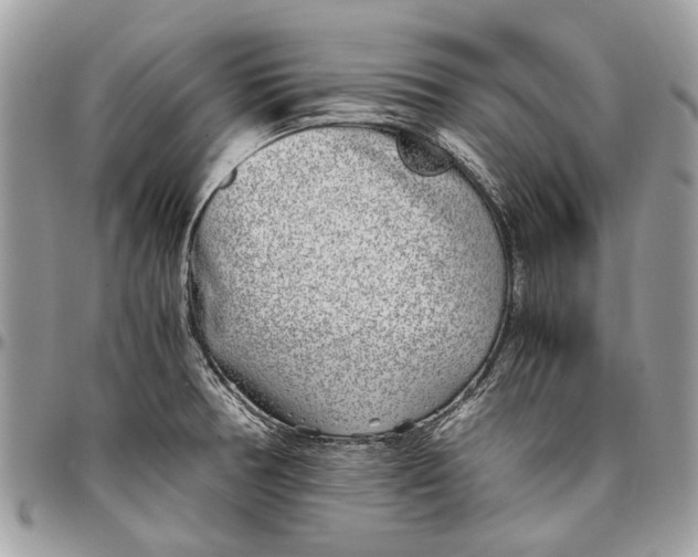 X0000096421378200802141623