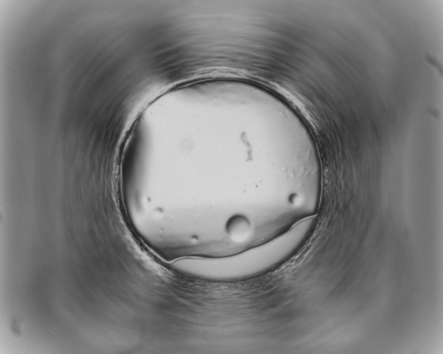 X0000096421379200802141623