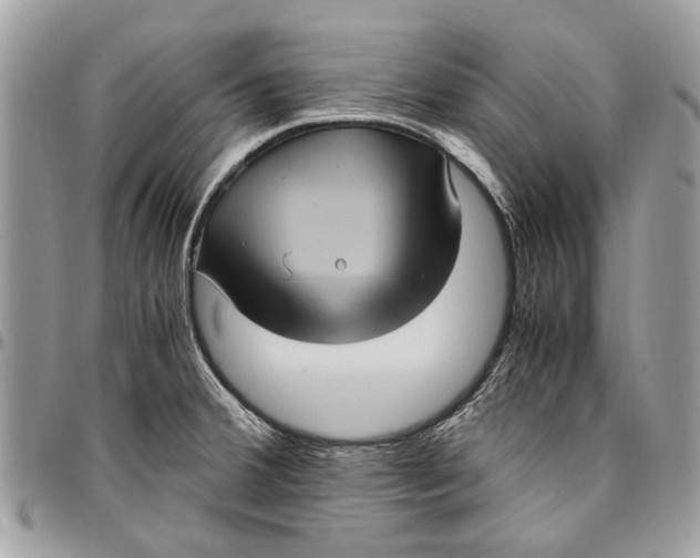 X0000096421380200802141623