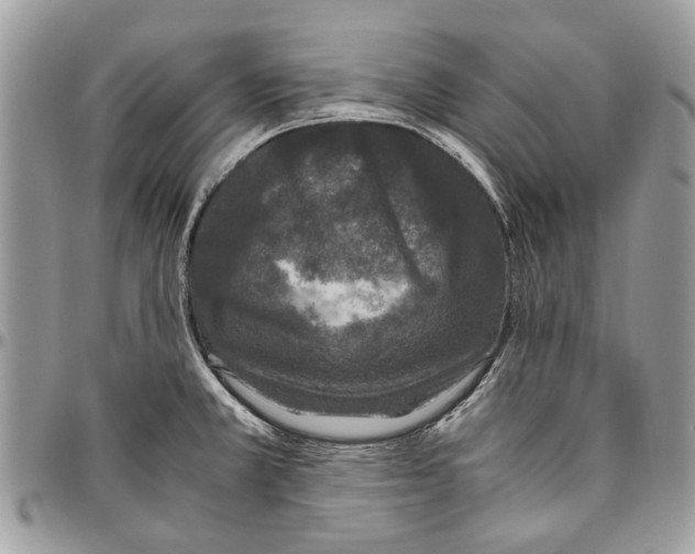 X0000096421381200802141623