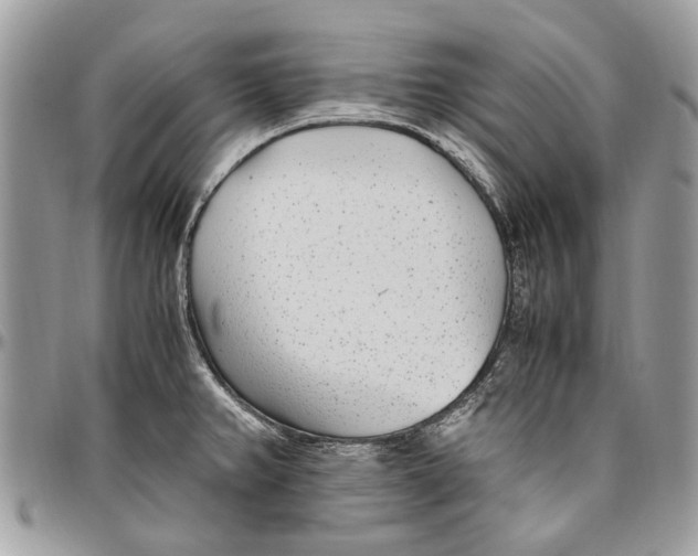 X0000096421382200802141623