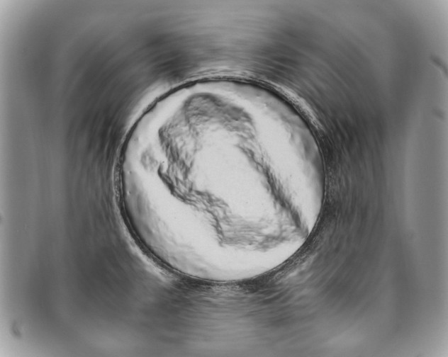 X0000096421383200802141623