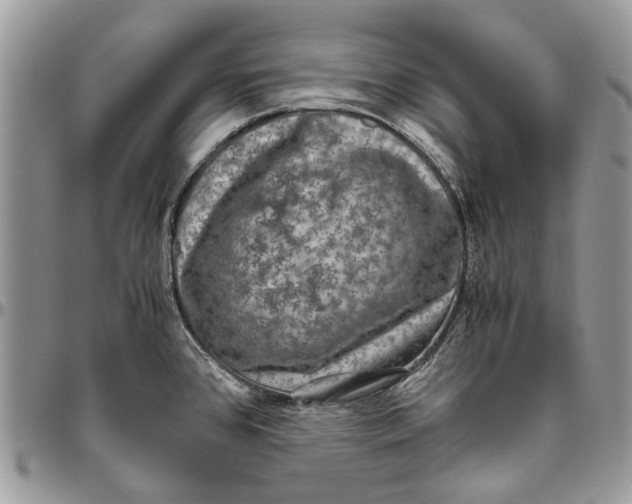 X0000096421384200802141623