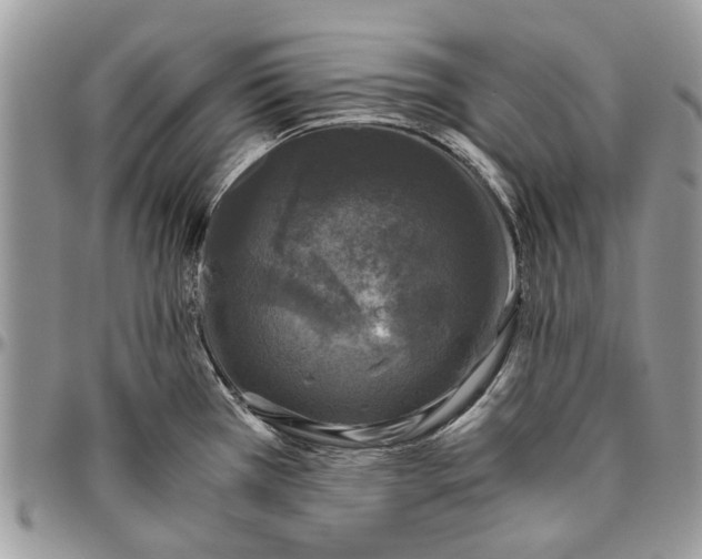 X0000096421385200802141623