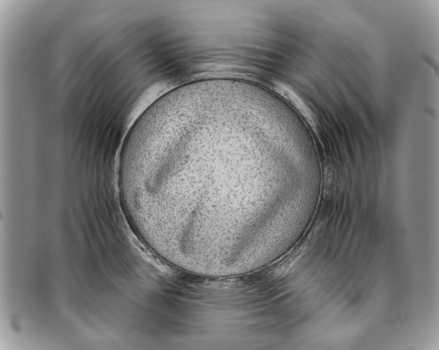 X0000096421386200802141623