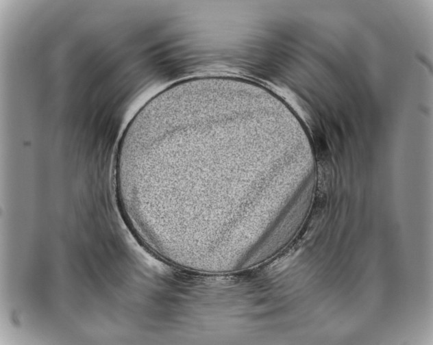 X0000096421387200802141623