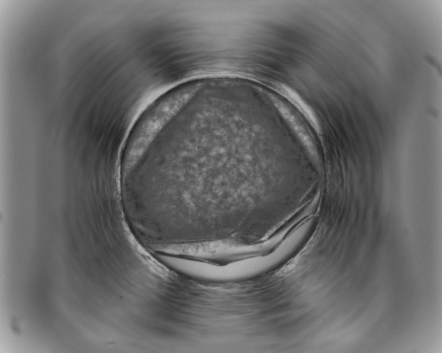 X0000096421388200802141623