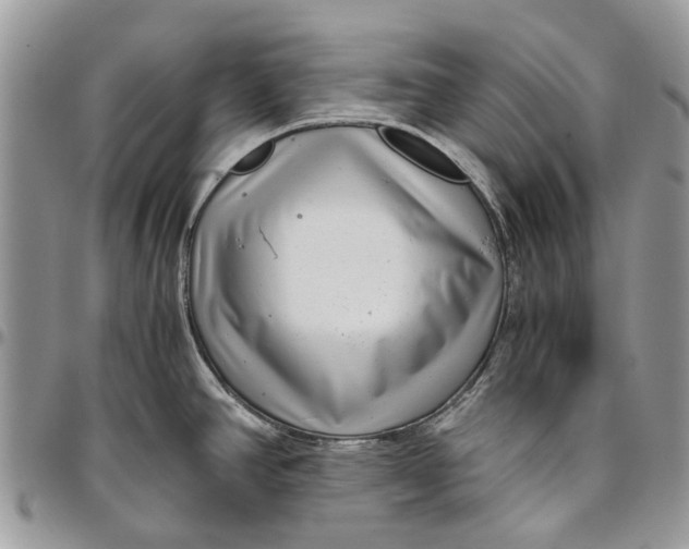 X0000096421390200802141623