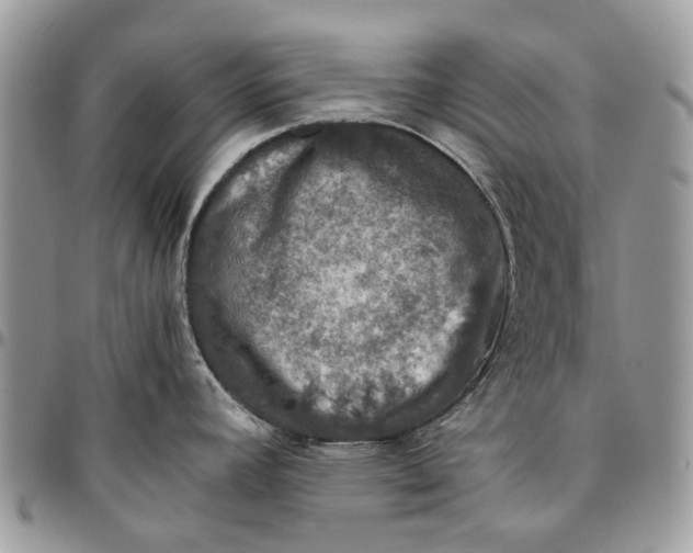 X0000096421392200802141623