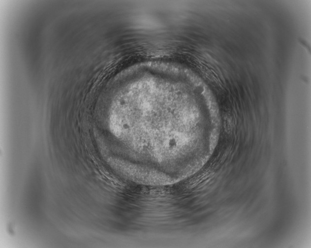 X0000096421393200802141622