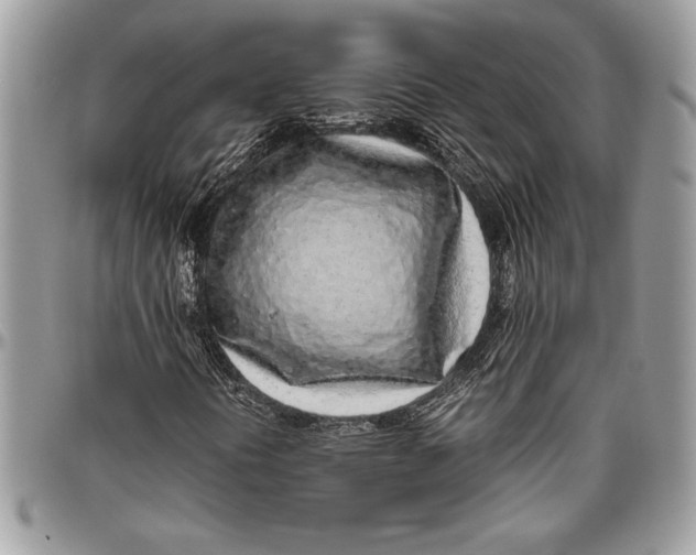 X0000096421394200802141622