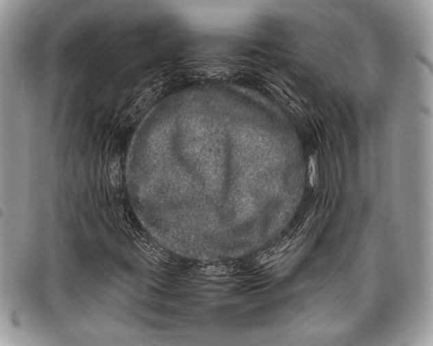 X0000096421395200802141622