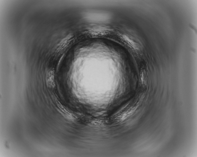 X0000096421396200802141622