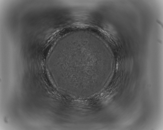 X0000096421397200802141622